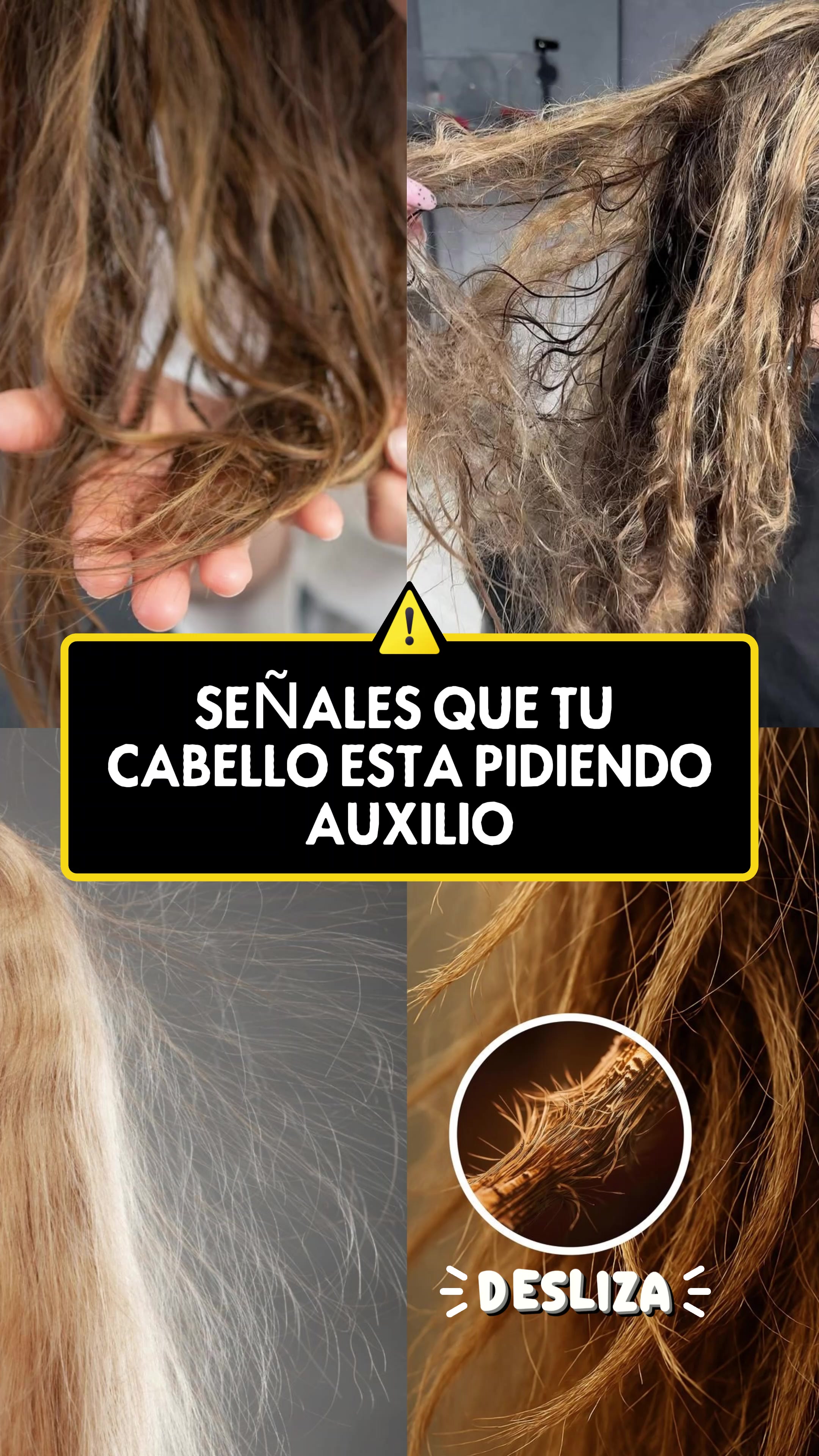 Video del producto
